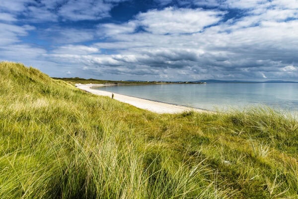 Elly Bay