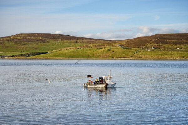 Eynhallow Sound