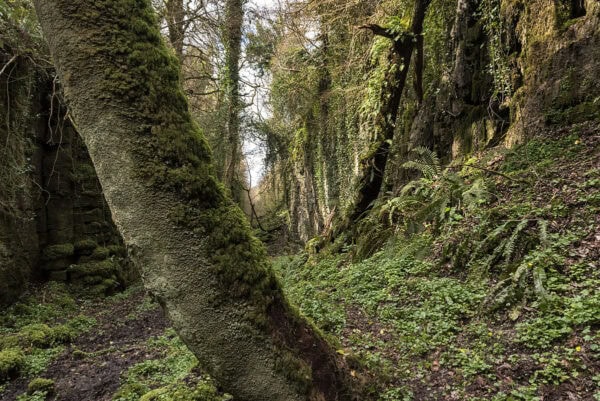 The Fairy Glen