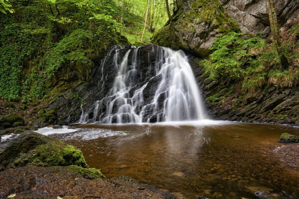 Fairy Glen