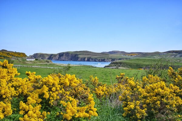 Farr Bay