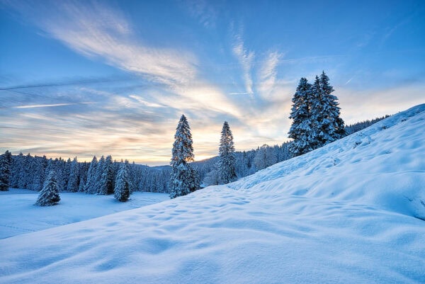 Feldberg