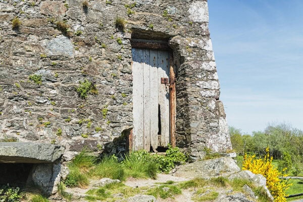 Ferrycarrig Tower House