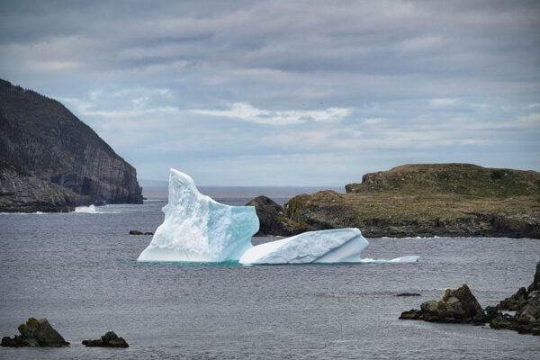 Iceberg