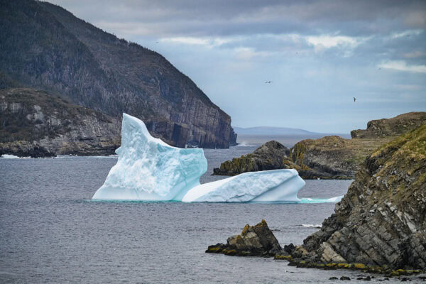 Iceberg