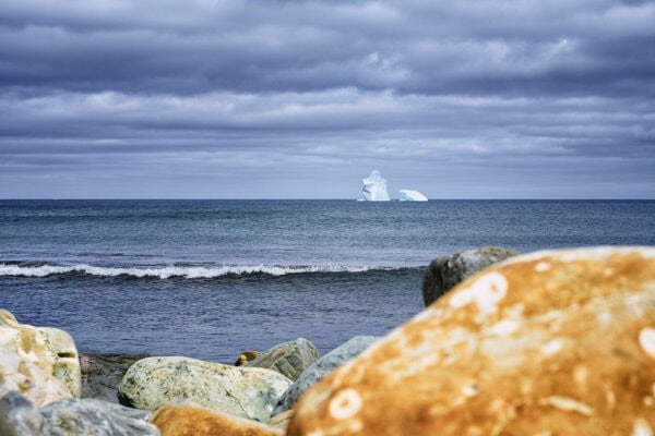 Iceberg