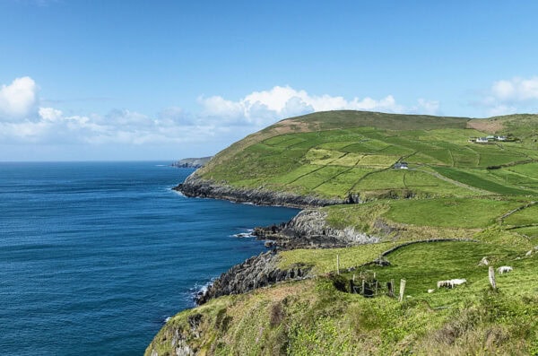 Firkeel Bay