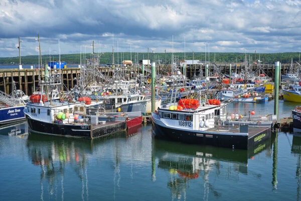 Fisherman’s Wharf