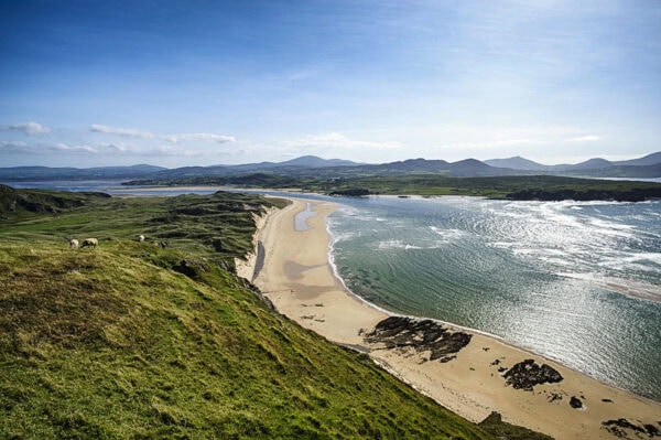 Five Finger Strand