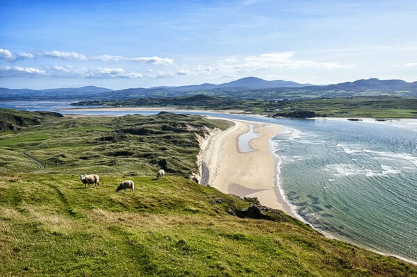 Five Finger Strand