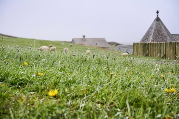 Fortress of Louisbourg