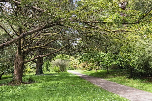 Fota Arboretum & Gardens