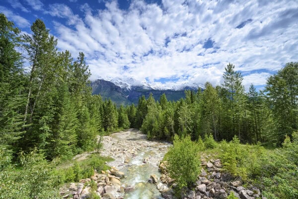 Fraser Creek