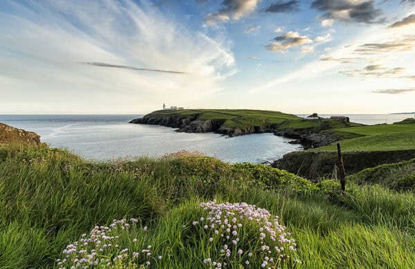 Galley Head