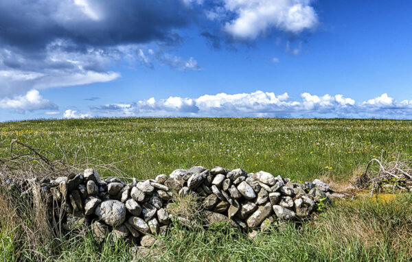 Galley Head