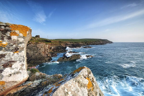 Galley Head