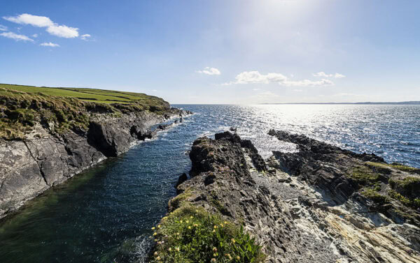 Galley Head