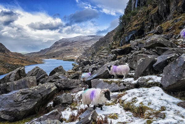 Gap of Dunloe
