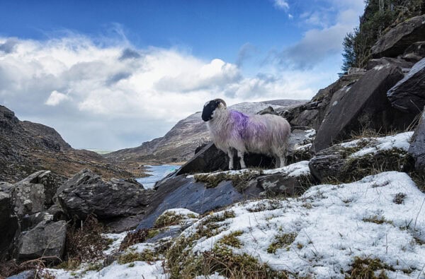 Gap of Dunloe