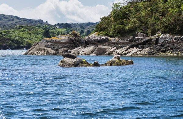 Garinish Island