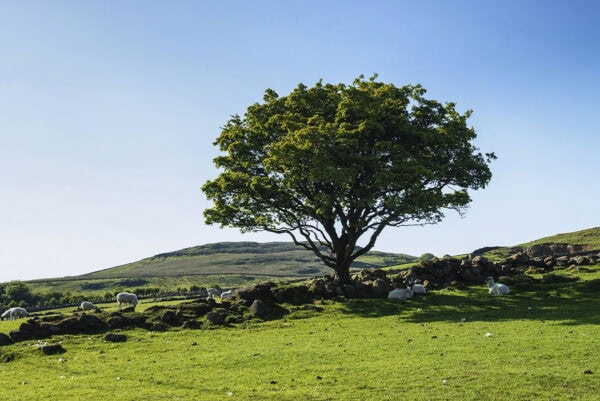 Garron Plateau