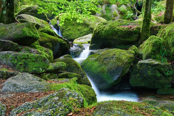 Gertelbach Wasserfälle