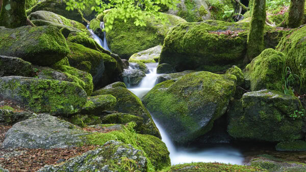 Gertelbach Wasserfälle