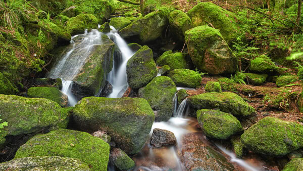 Gertelbach Wasserfälle