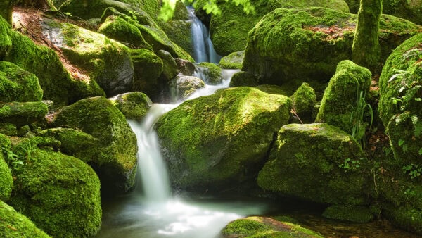 Gertelbach Wasserfälle