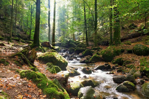 Gertelbachschlucht