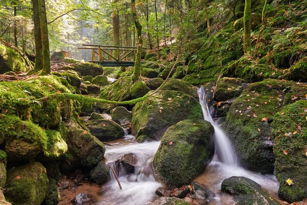 Gertelbachschlucht
