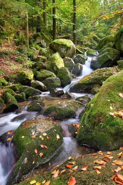 Gertelbachschlucht