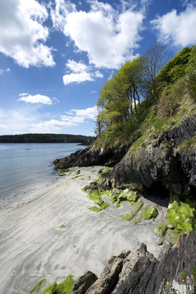 Glandore
