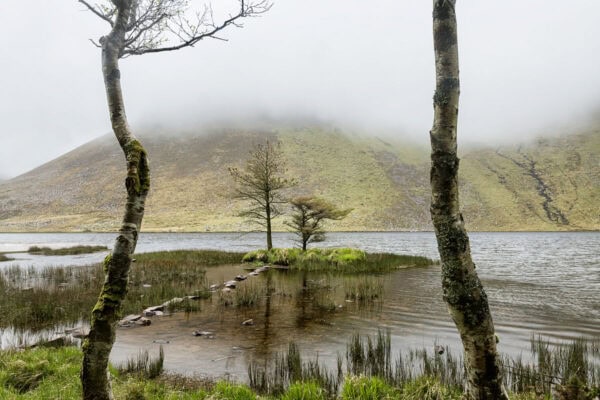 Glanteenassig Forest Park