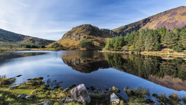 Glanteenassig Forest Park
