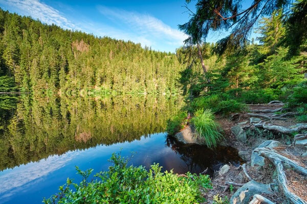 Glaswaldsee