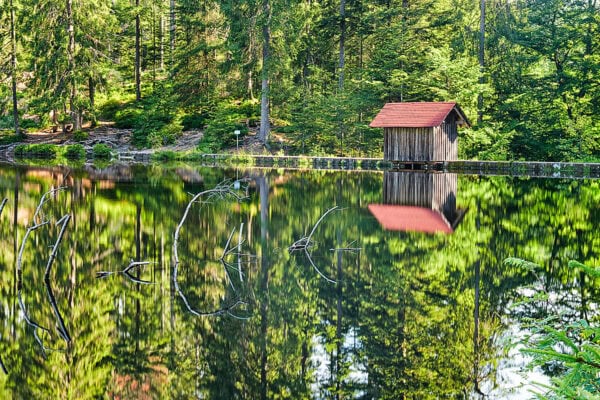 Glaswaldsee