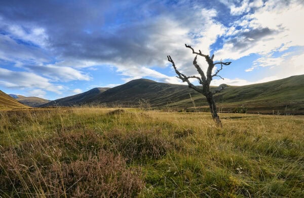 Glen Clunie