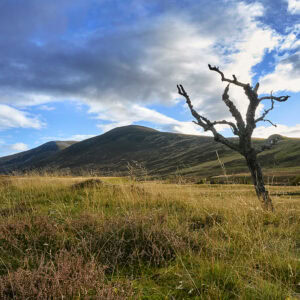 Glen Clunie