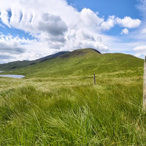Glen More