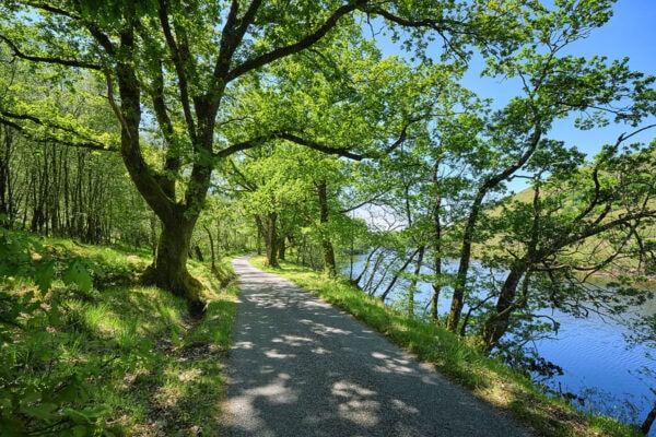 Glen Orchy