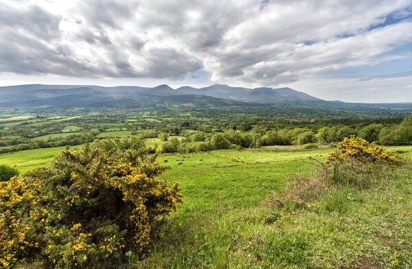 Glen of Aherlow