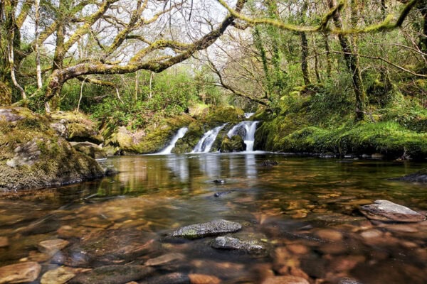 Glengarriff Nature Reserve
