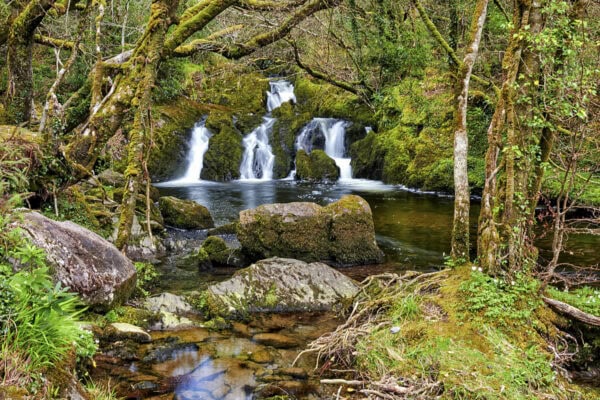 Glengarriff Nature Reserve