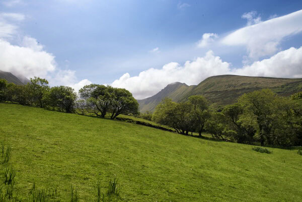 Glennahoo