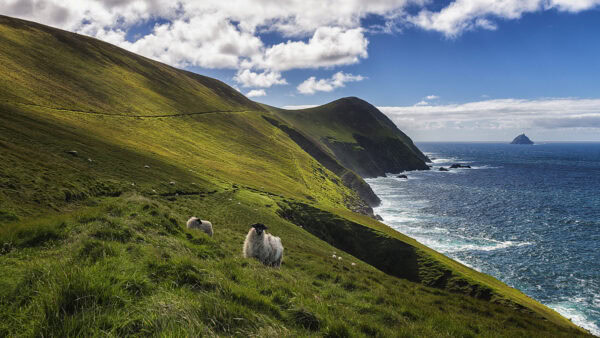 Great Blasket Island