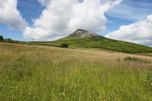 Great Sugarloaf