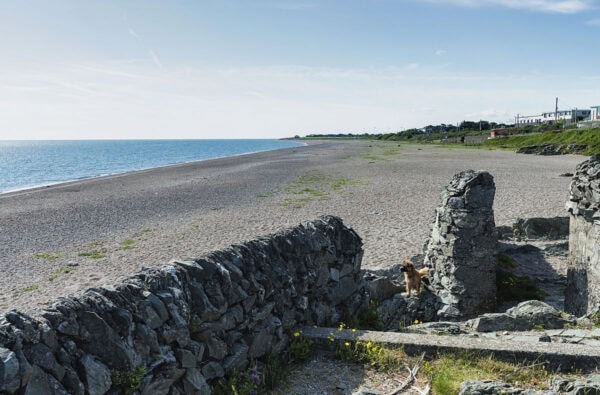 Greystones