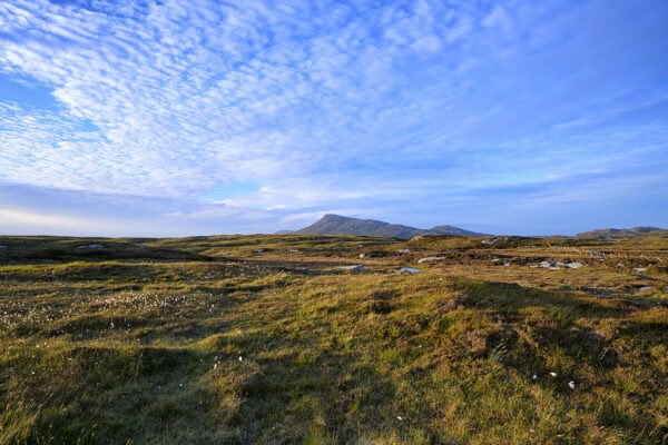 Grimsey