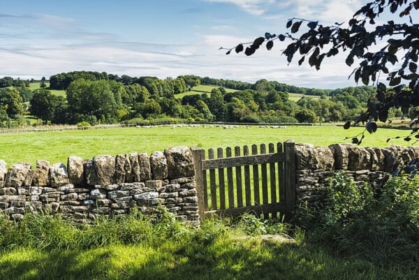 Guiting Power